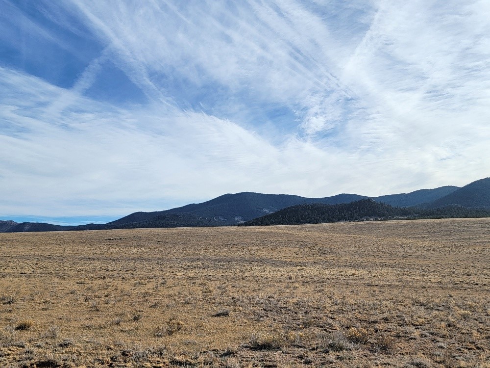 1162 Rocky Mountain Road Hartsel CO 80449