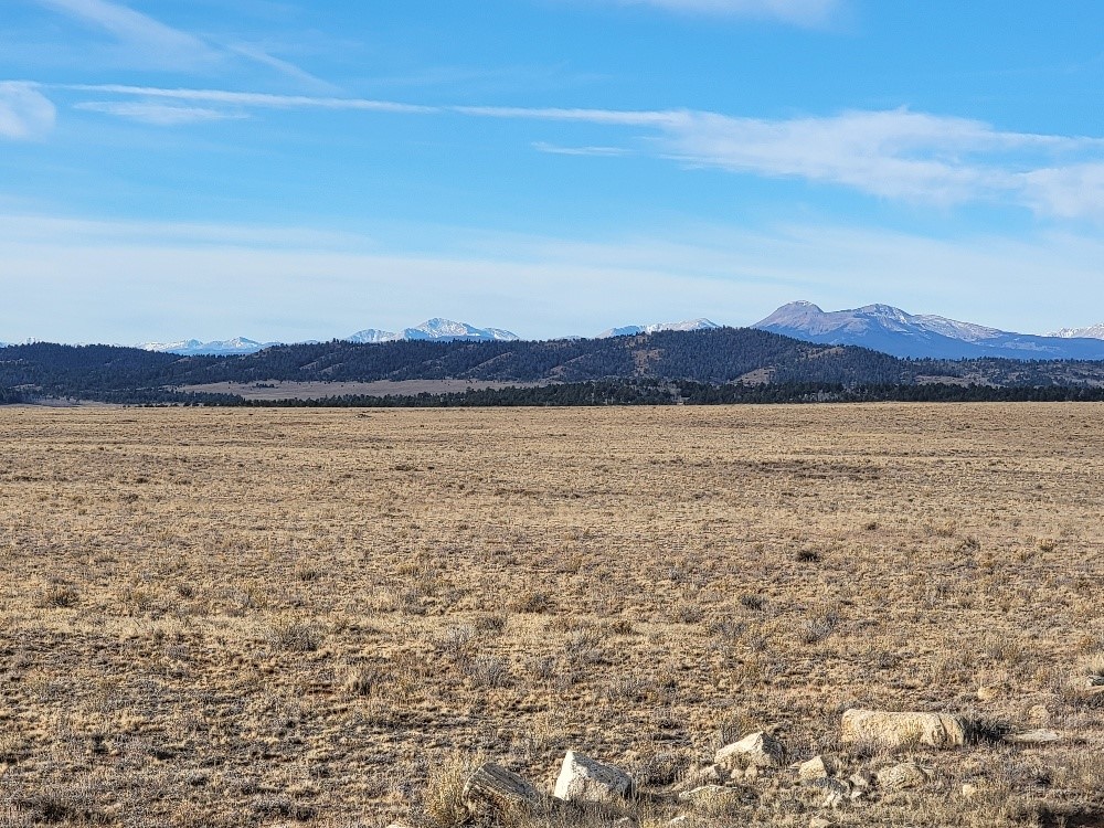 1162 Rocky Mountain Road Hartsel CO 80449
