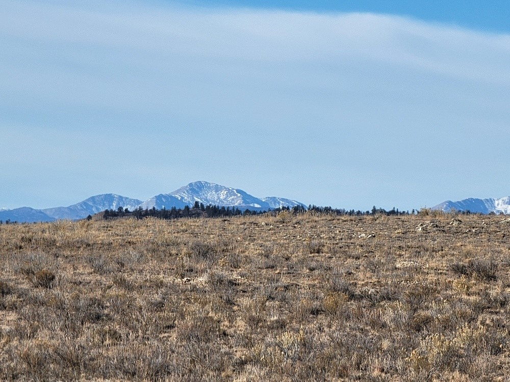 1162 Rocky Mountain Road Hartsel CO 80449