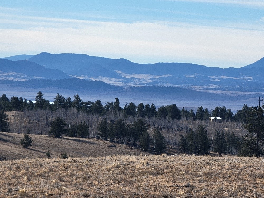 1162 Rocky Mountain Road Hartsel CO 80449