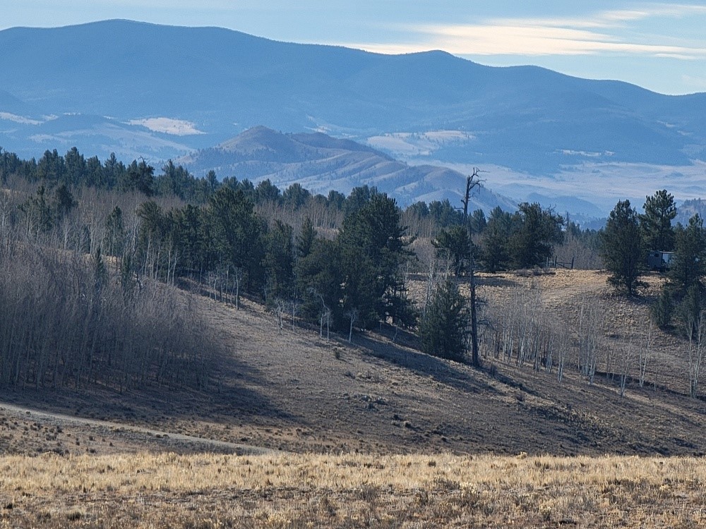 1162 Rocky Mountain Road Hartsel CO 80449