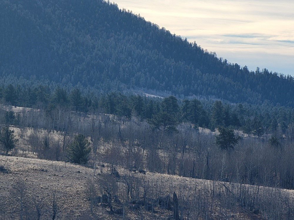 1162 Rocky Mountain Road Hartsel CO 80449
