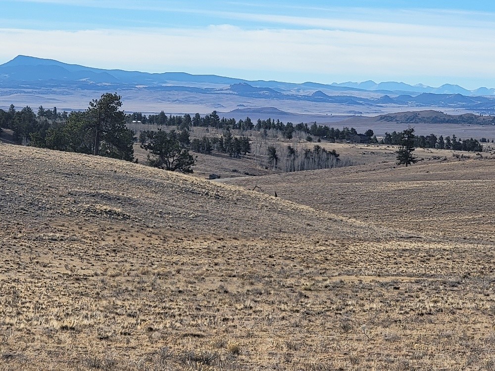 1162 Rocky Mountain Road Hartsel CO 80449