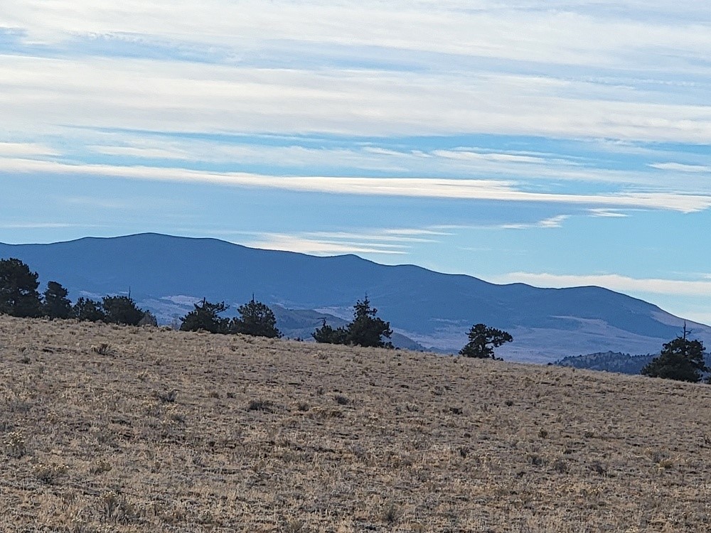 1162 Rocky Mountain Road Hartsel CO 80449