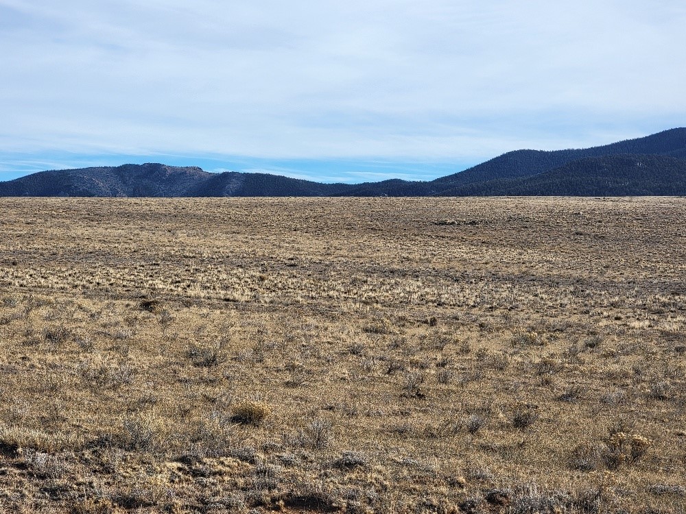 1162 Rocky Mountain Road Hartsel CO 80449