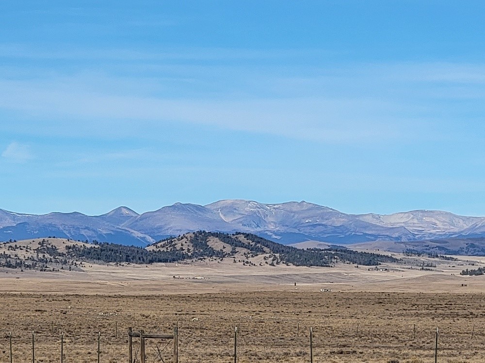 1162 Rocky Mountain Road Hartsel CO 80449