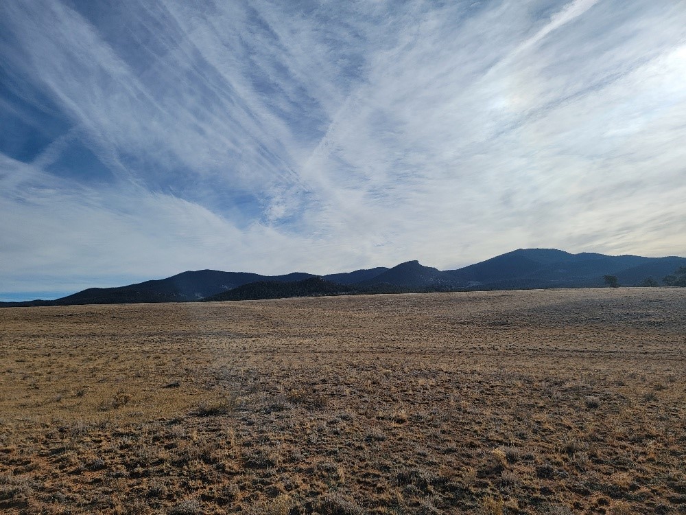 1162 Rocky Mountain Road Hartsel CO 80449