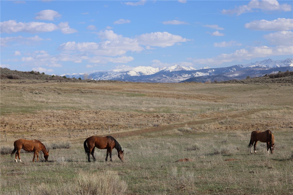 Tbd Cr 100 Other CO 81623