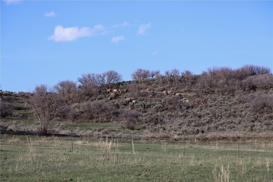 Tbd Cr 100 Other CO 81623