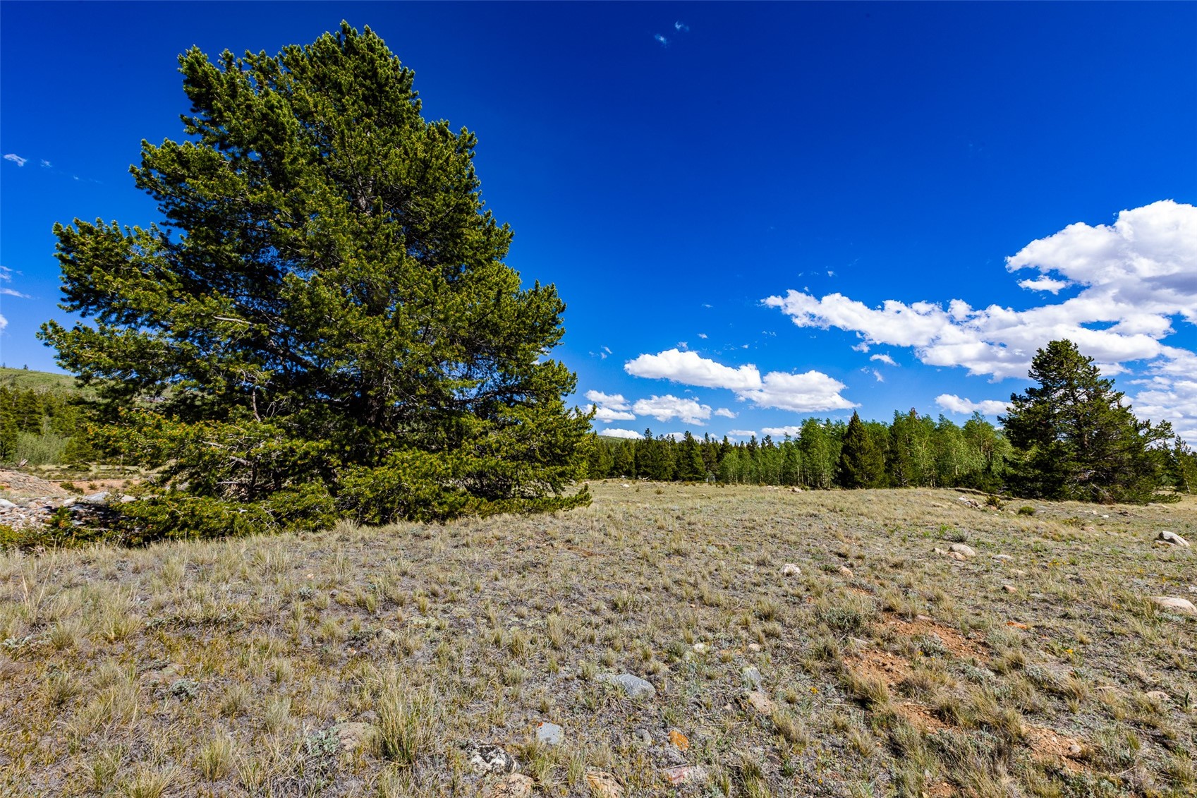 Tbd Glissade Trail Alma CO 80420