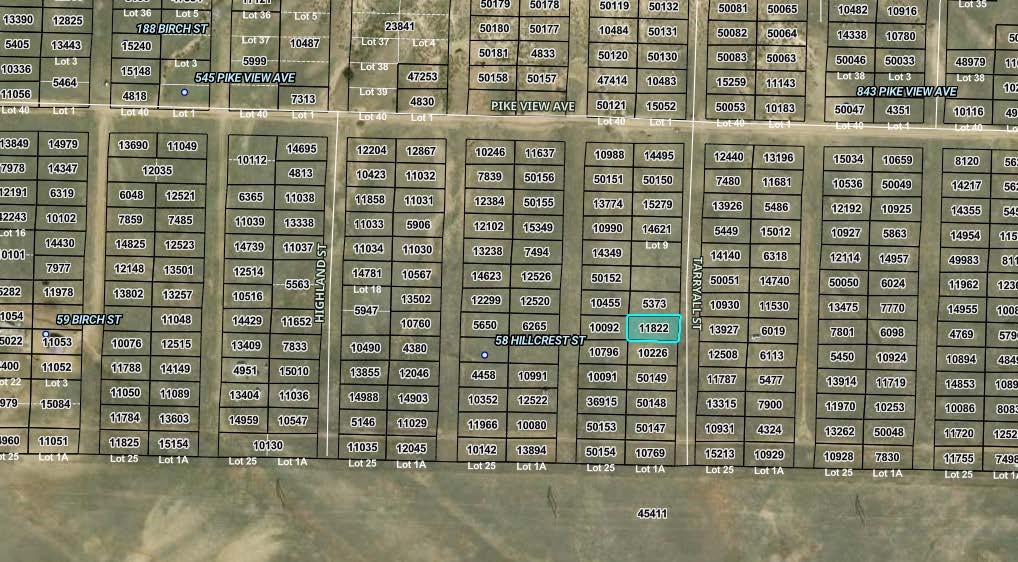 00000 Tarryall Street Hartsel CO 80449