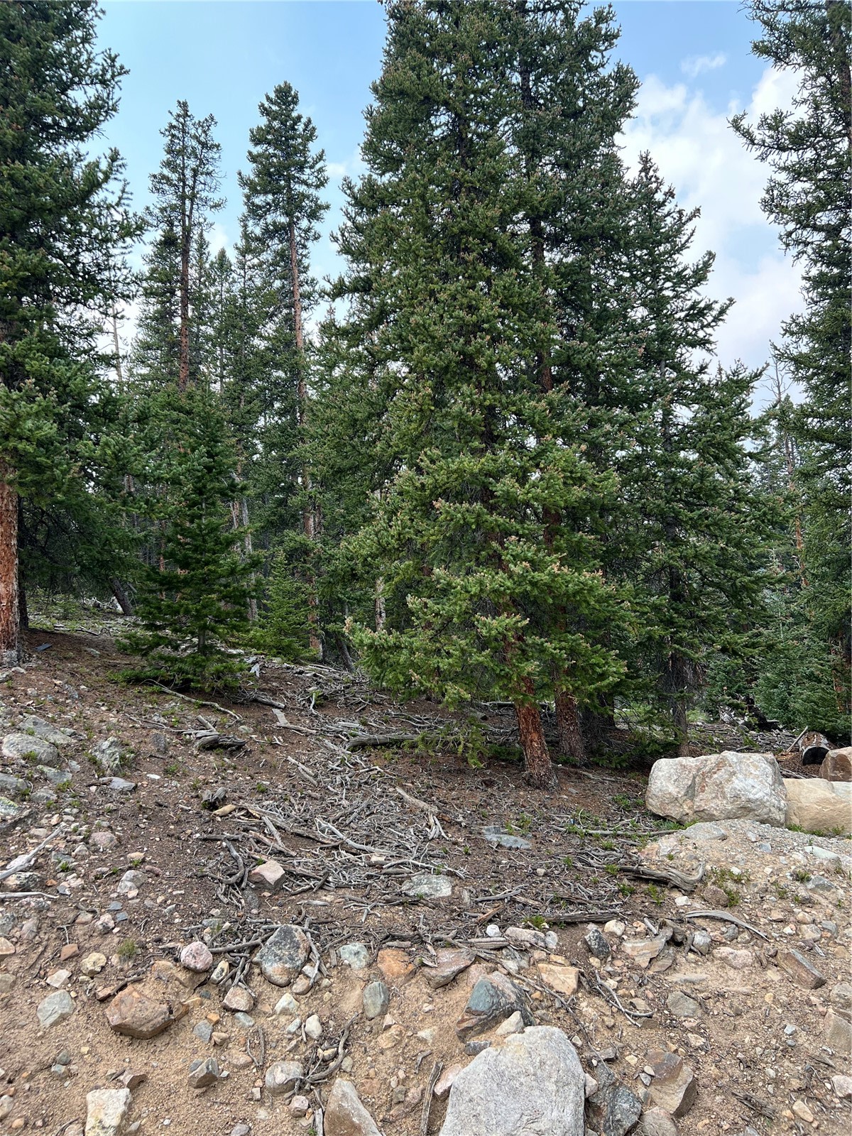 914 Bobcat Lane Fairplay CO 80440