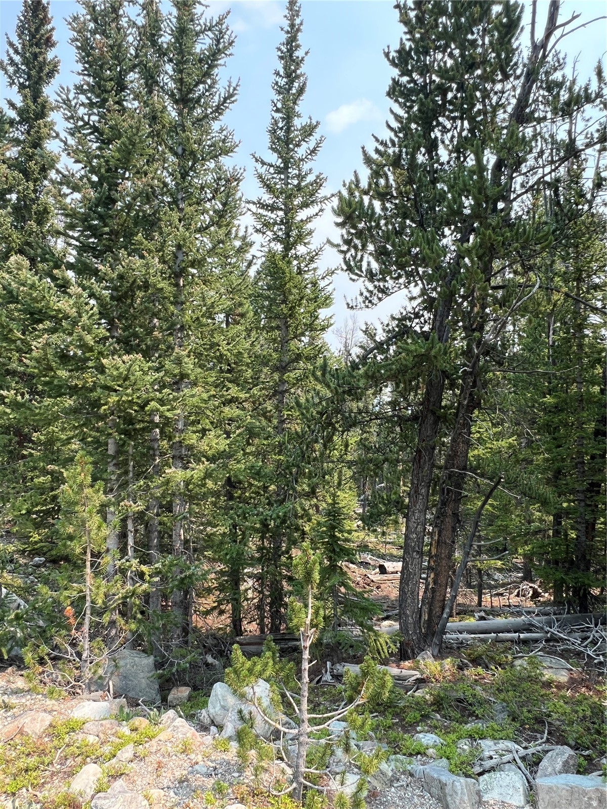 914 Bobcat Lane Fairplay CO 80440