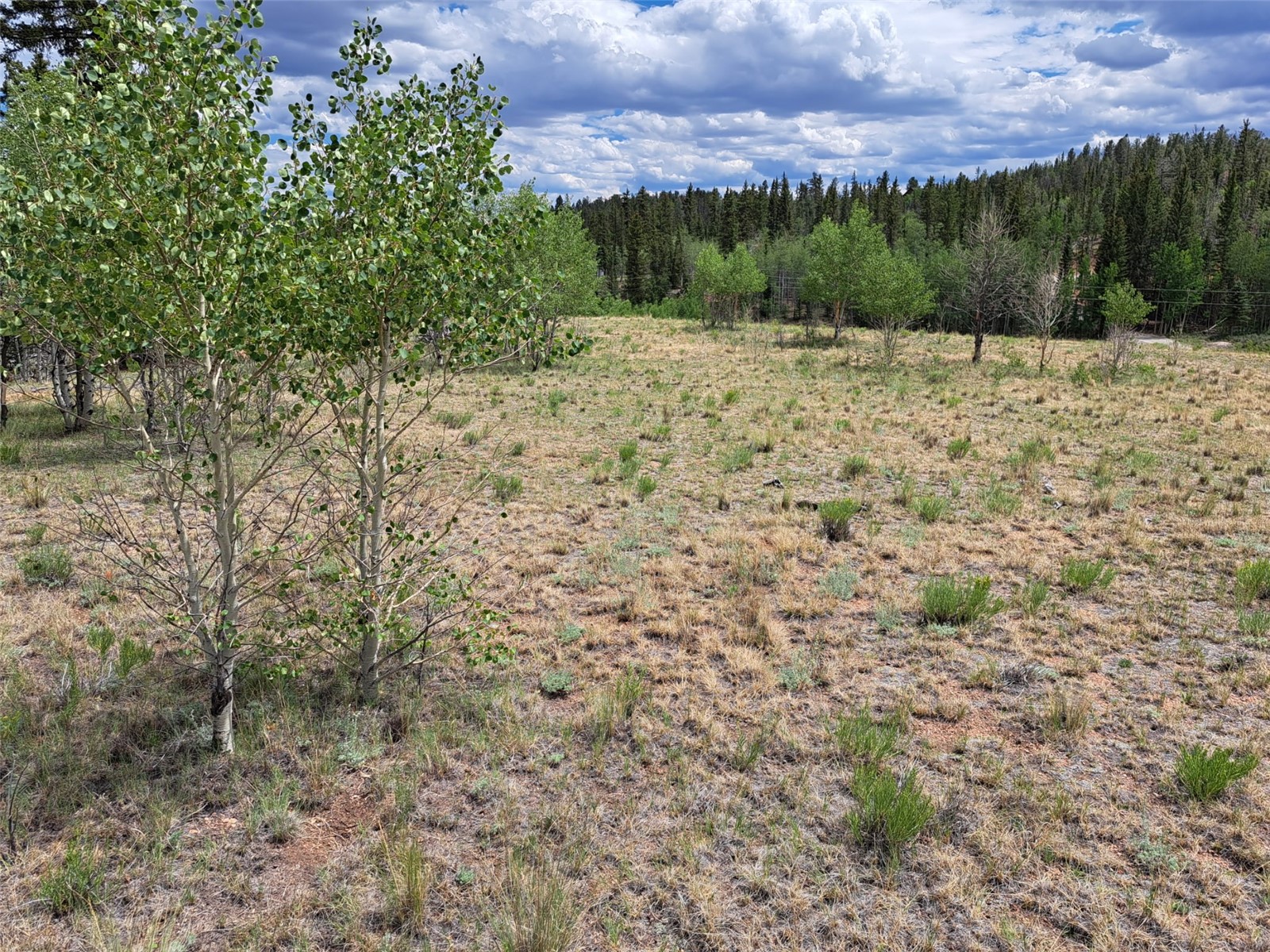 6242 Remington Road Como CO 80432