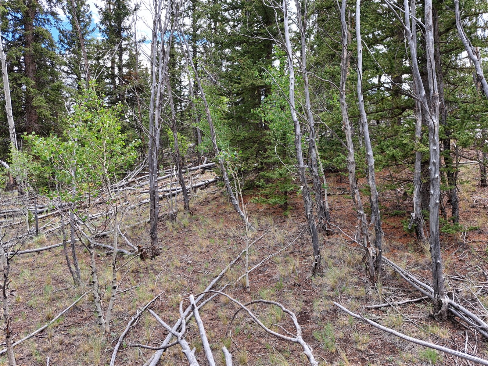 6242 Remington Road Como CO 80432
