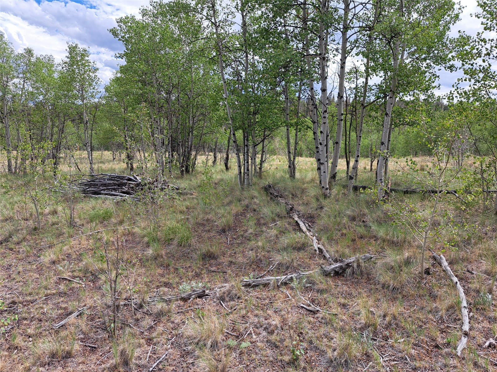 6242 Remington Road Como CO 80432