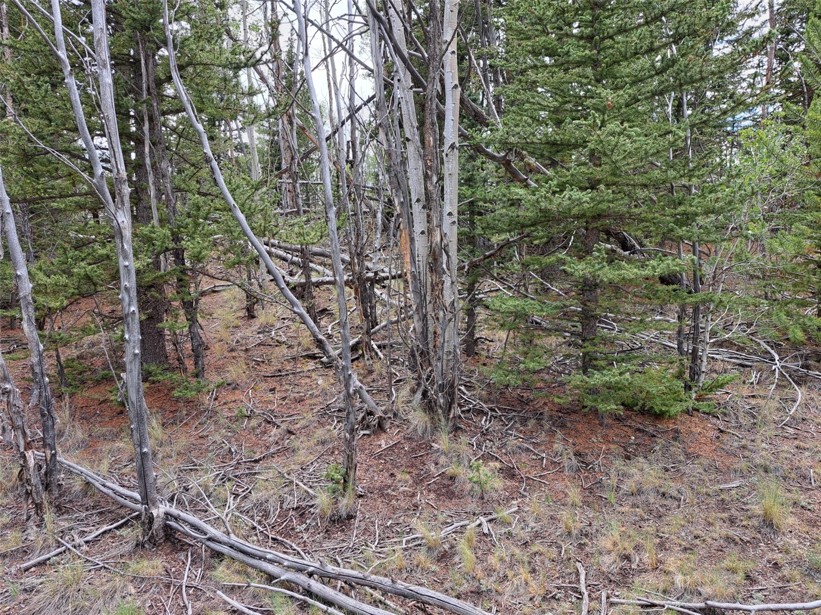 6242 Remington Road Como CO 80432