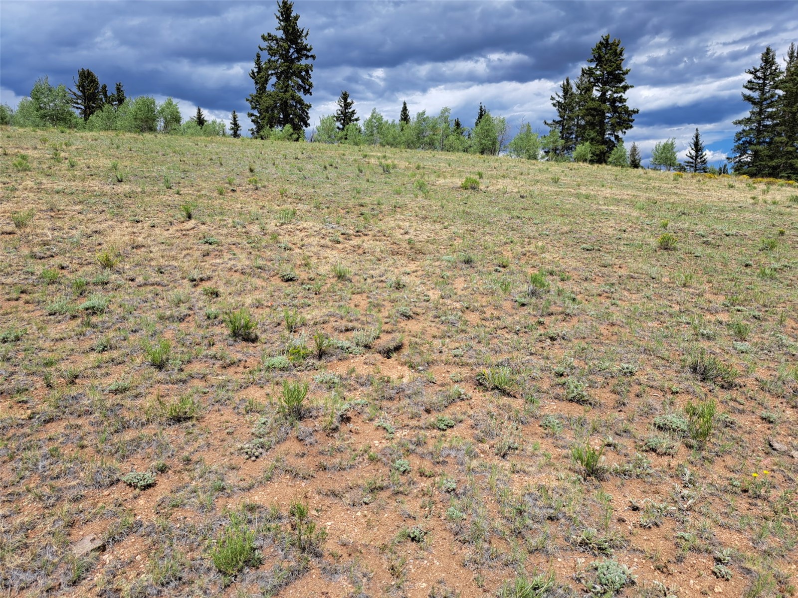 6242 Remington Road Como CO 80432