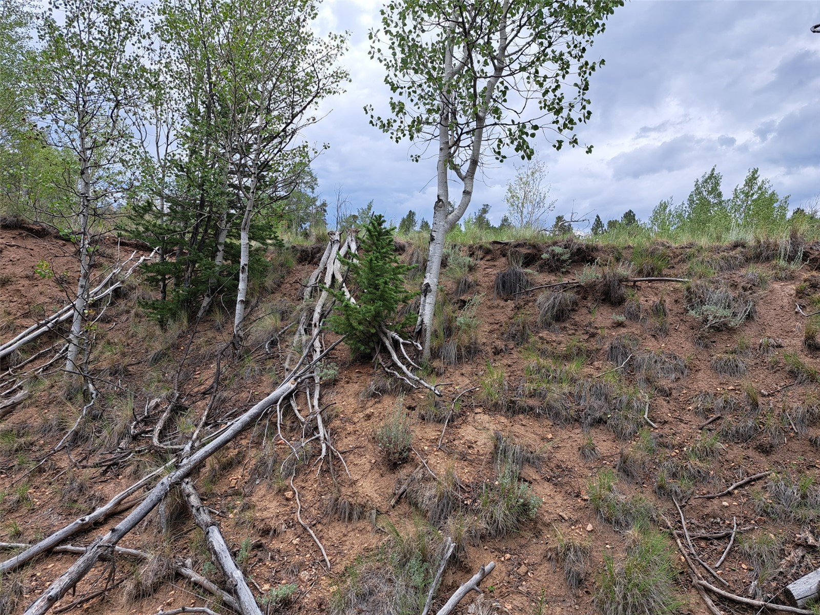 6242 Remington Road Como CO 80432