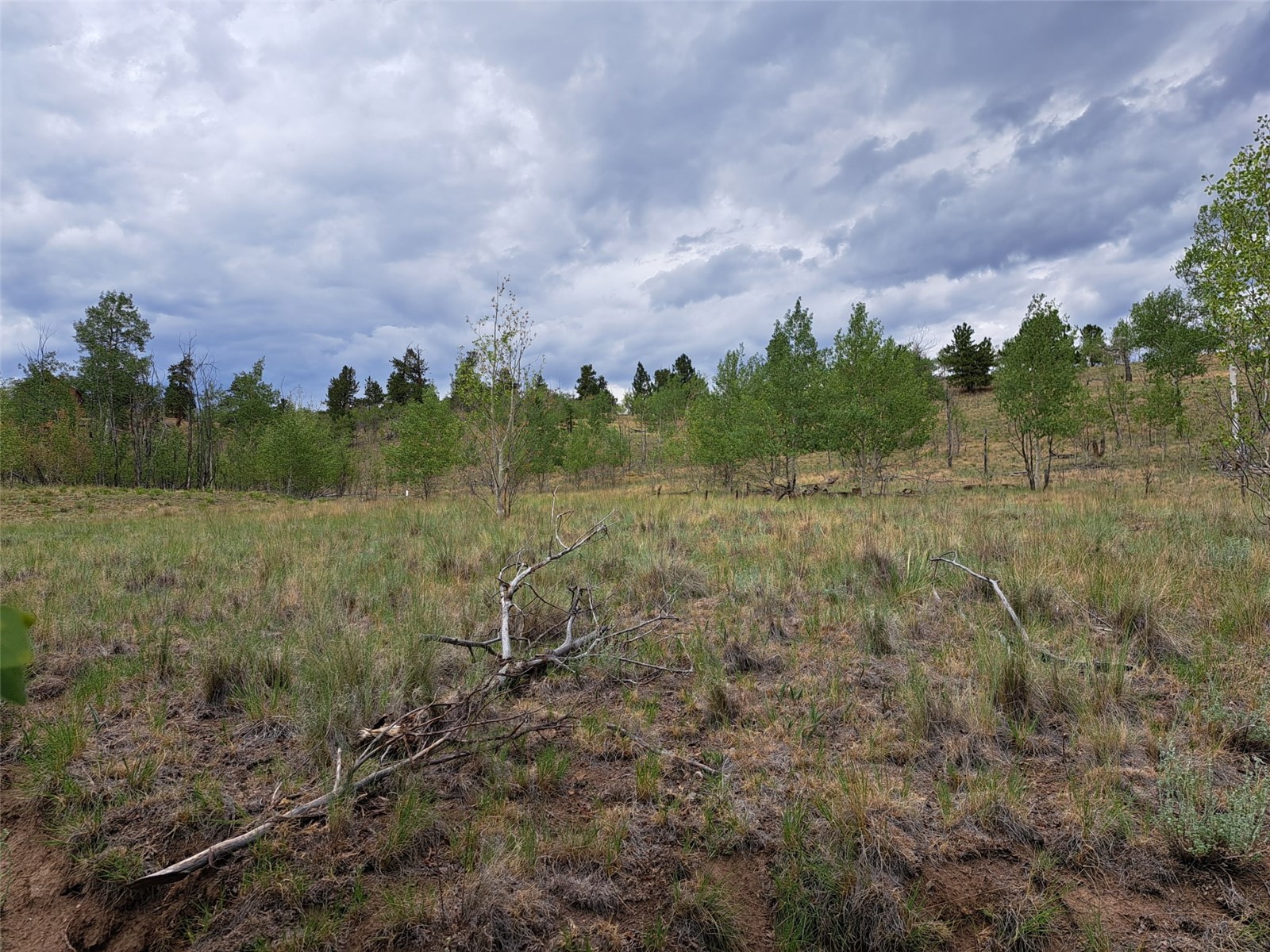 6242 Remington Road Como CO 80432