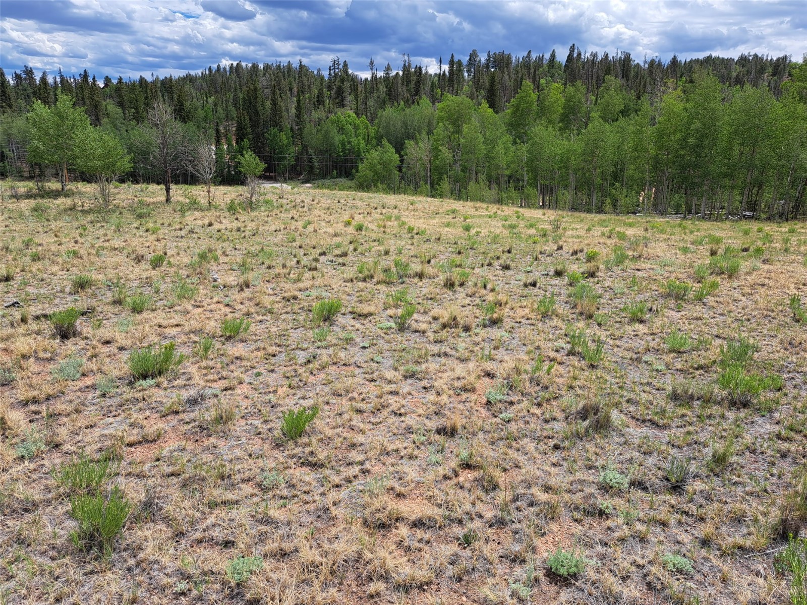 6242 Remington Road Como CO 80432