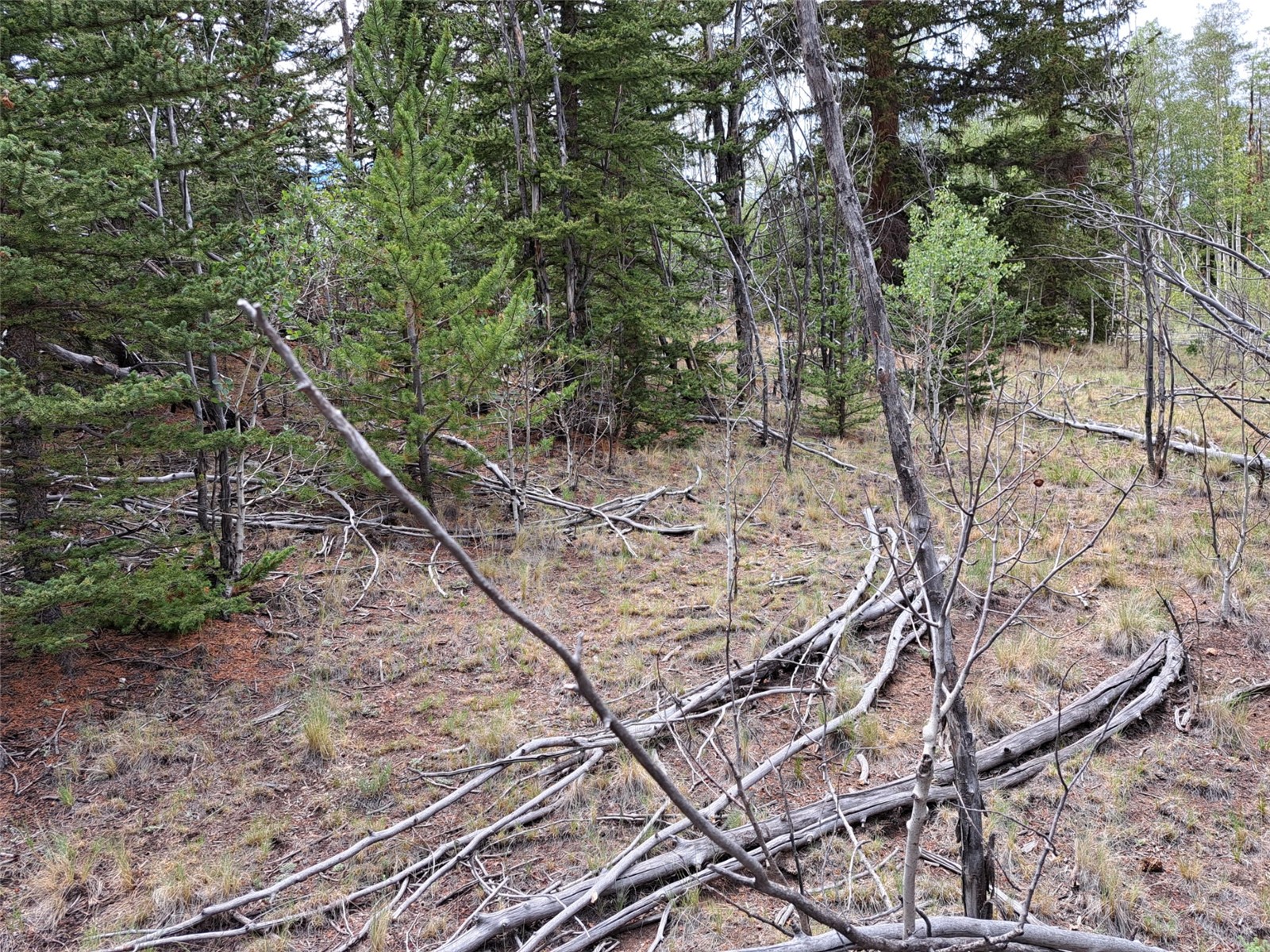 6242 Remington Road Como CO 80432