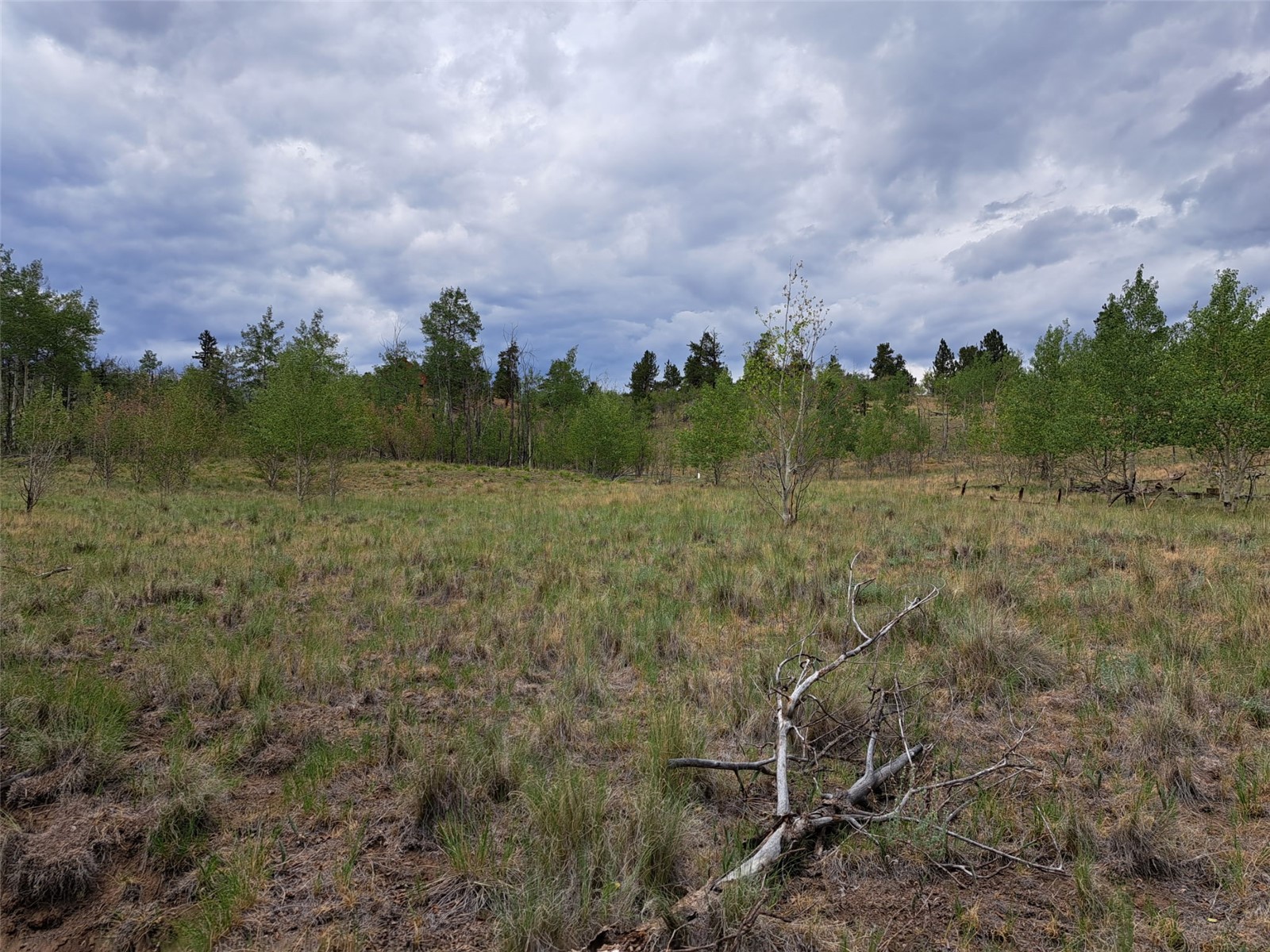 6242 Remington Road Como CO 80432
