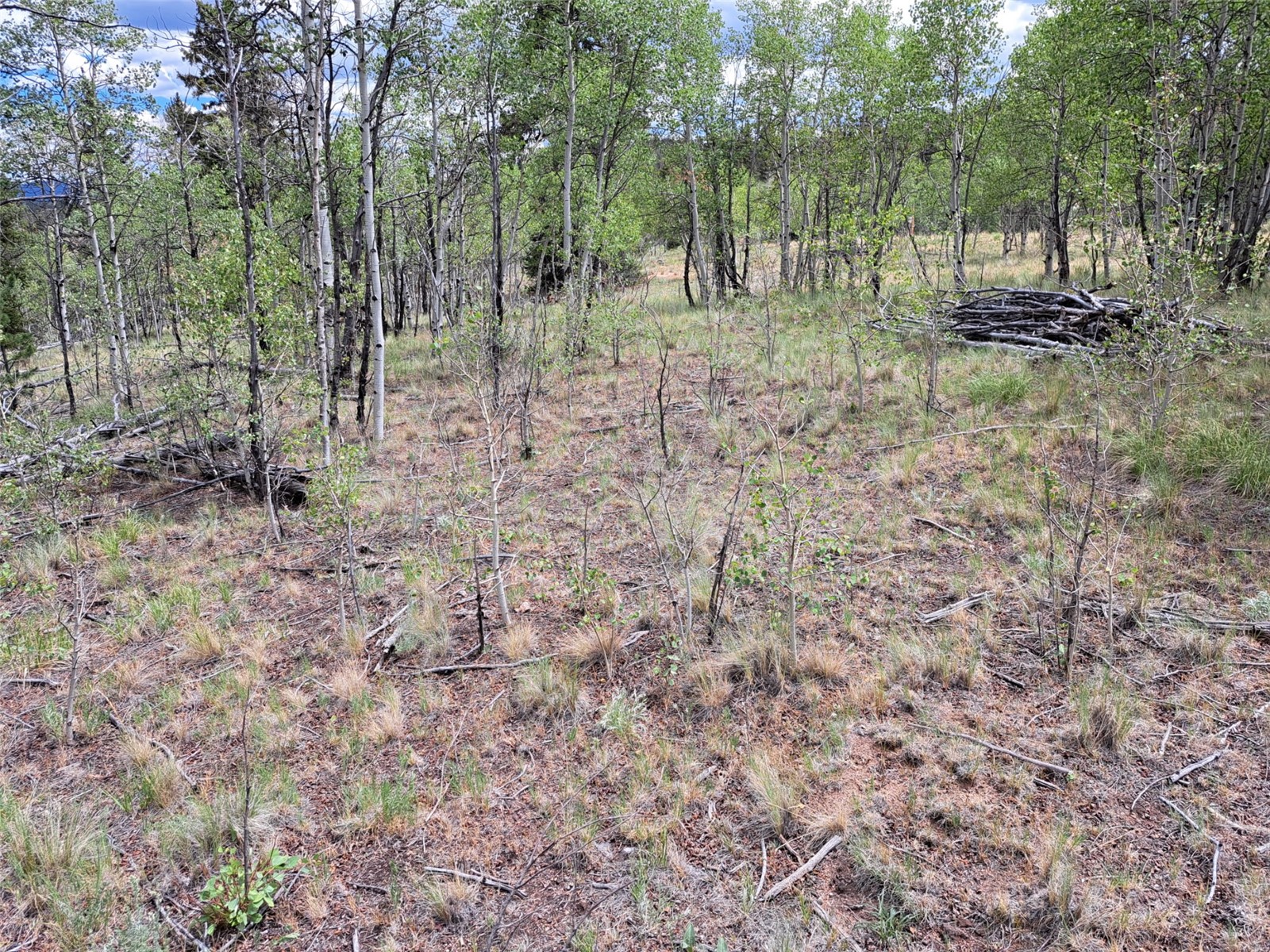 6242 Remington Road Como CO 80432