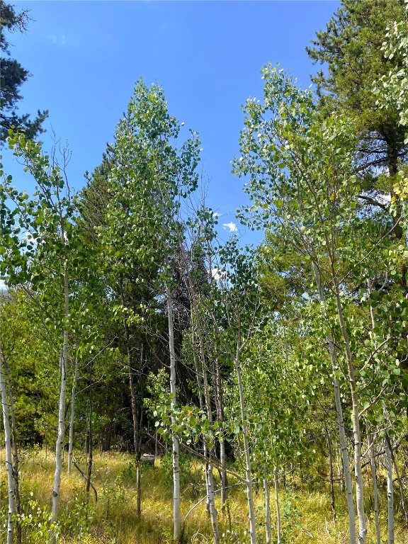 32960 Maverick Way Oak Creek CO 80467
