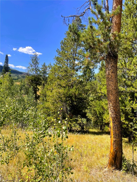 32960 Maverick Way Oak Creek CO 80467