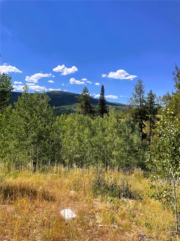 32960 Maverick Way Oak Creek CO 80467