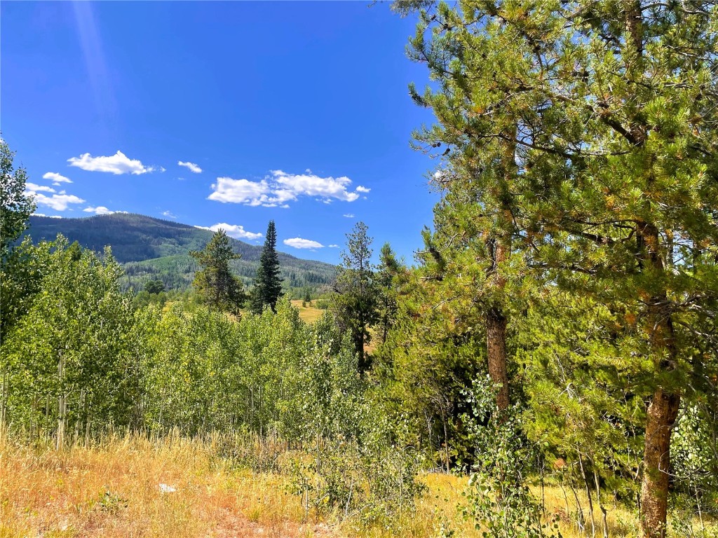 32960 Maverick Way Oak Creek CO 80467