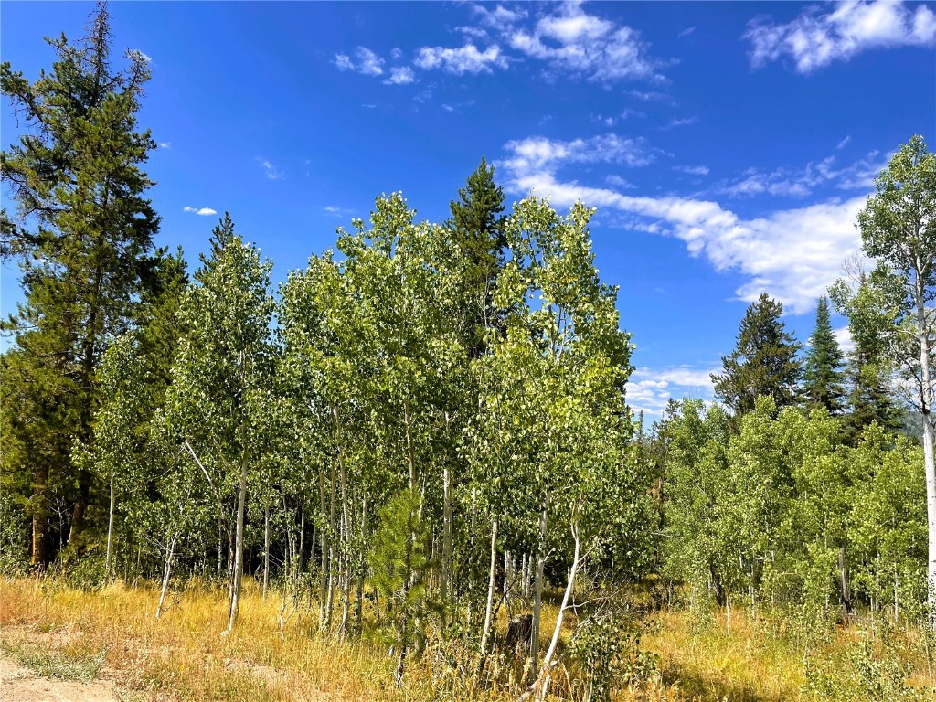 32960 Maverick Way Oak Creek CO 80467