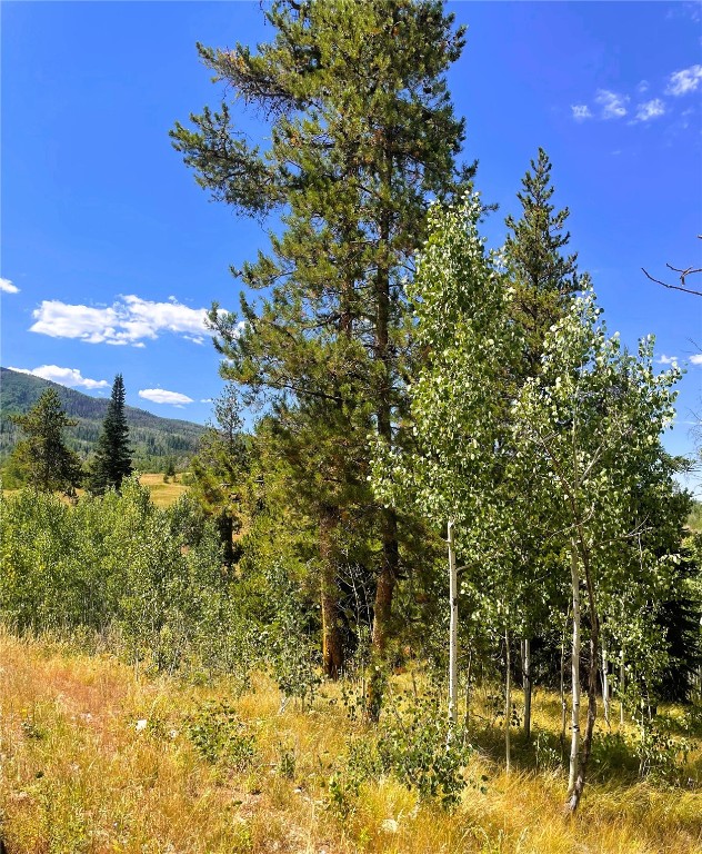 32960 Maverick Way Oak Creek CO 80467