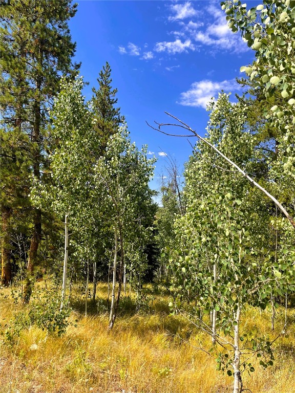 32960 Maverick Way Oak Creek CO 80467