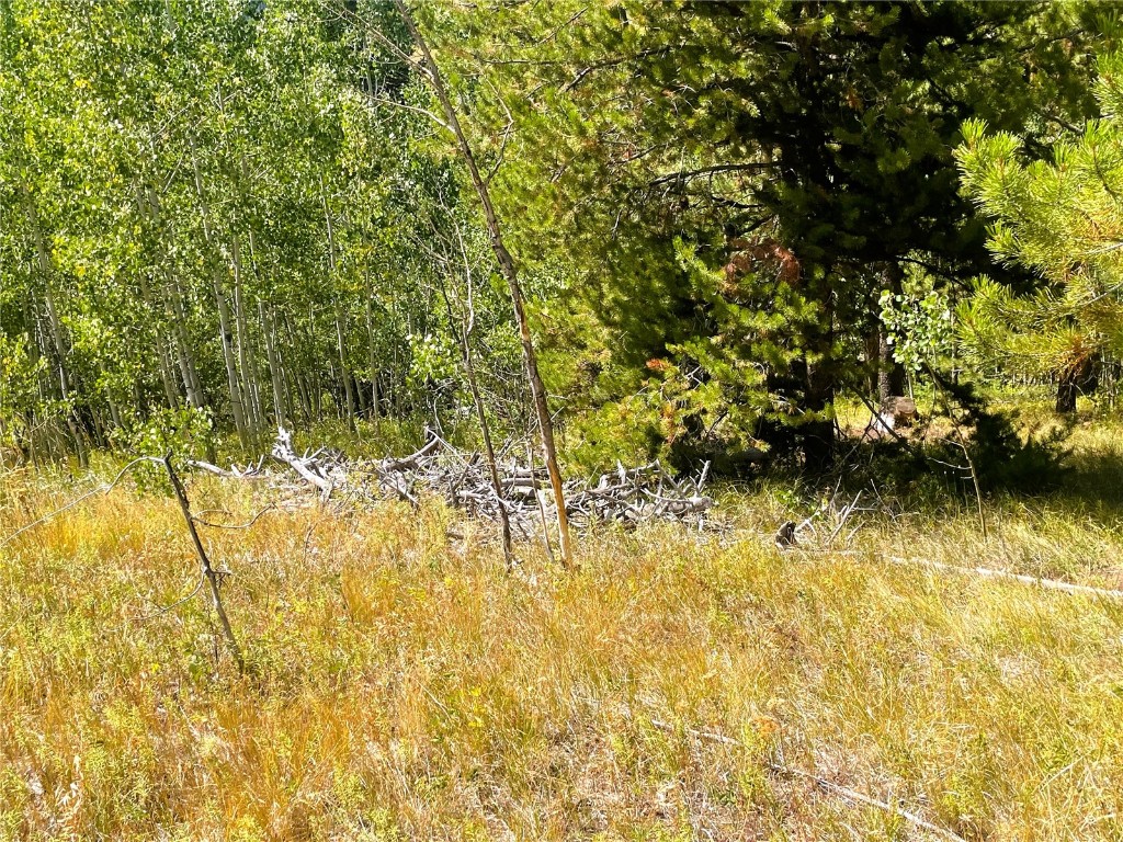 32960 Maverick Way Oak Creek CO 80467