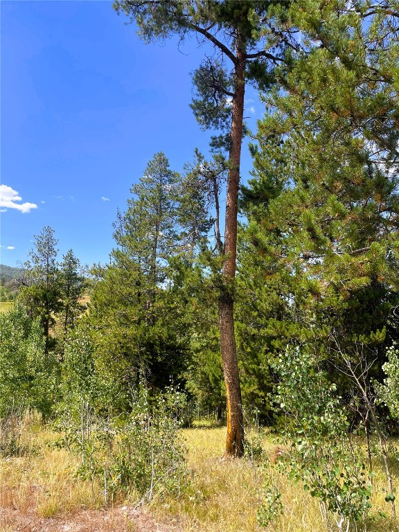 32960 Maverick Way Oak Creek CO 80467