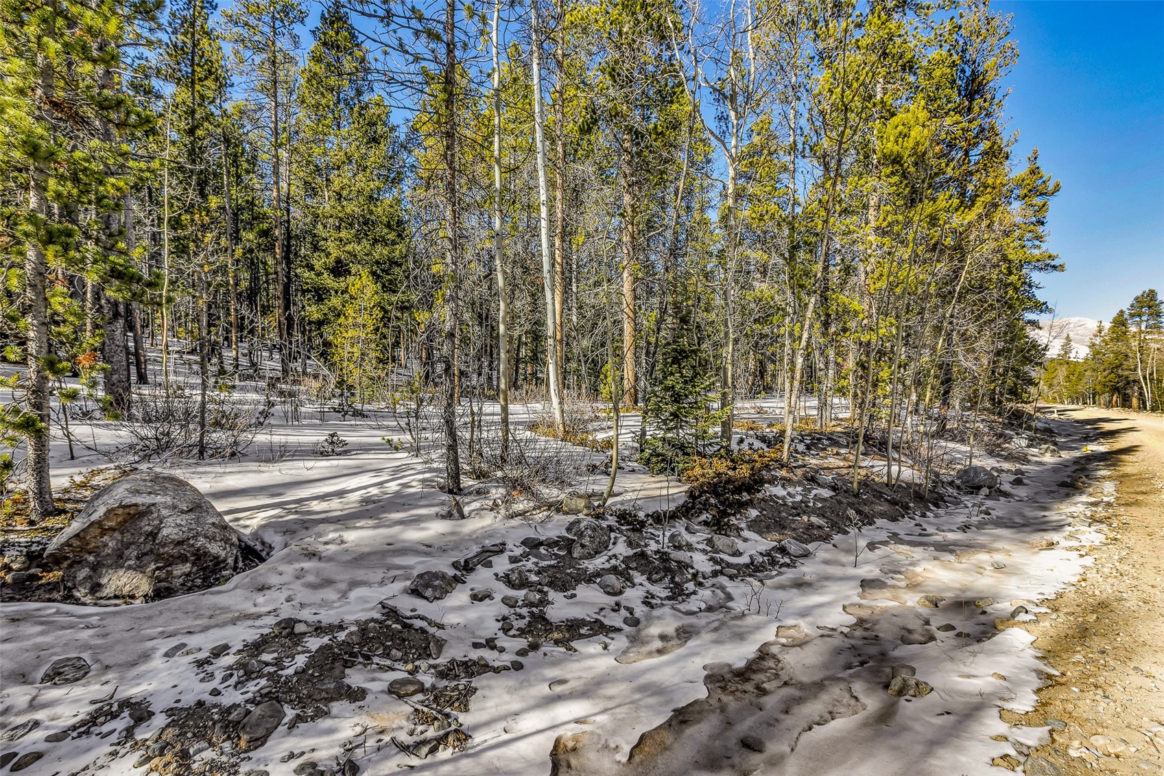 Tbd County Road 19 Alma CO 80420