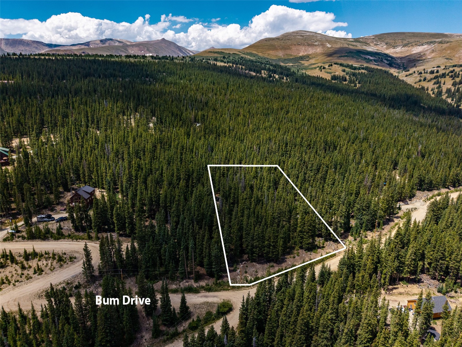 345 Bum Drive Fairplay CO 80440