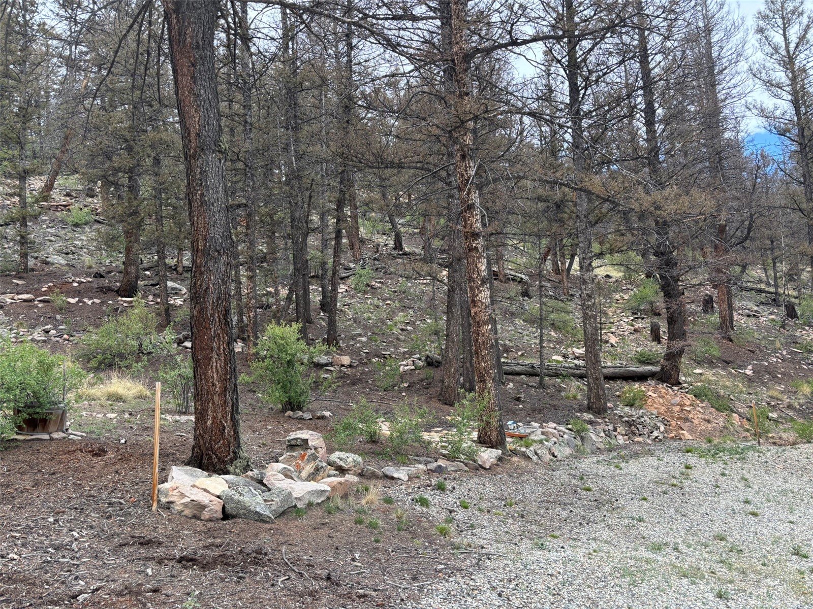 225 Trout Creek Lane Fairplay CO 80440