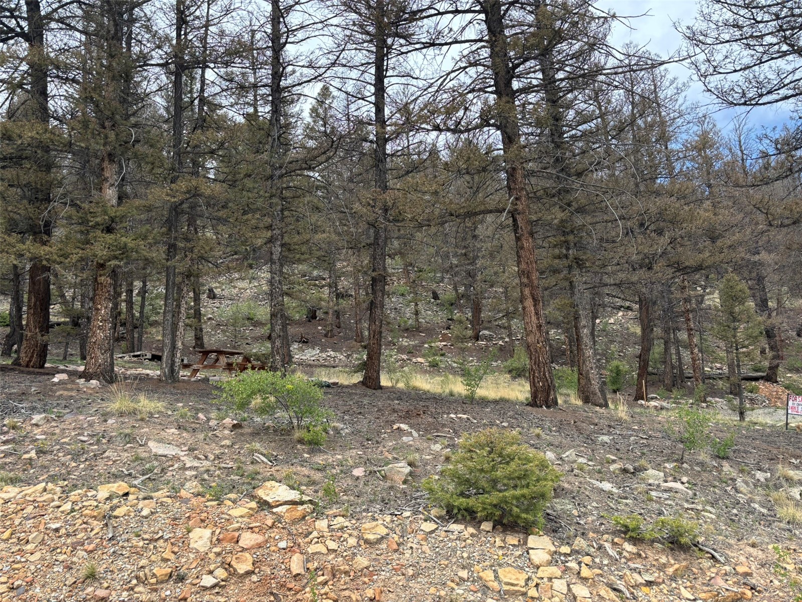 225 Trout Creek Lane Fairplay CO 80440