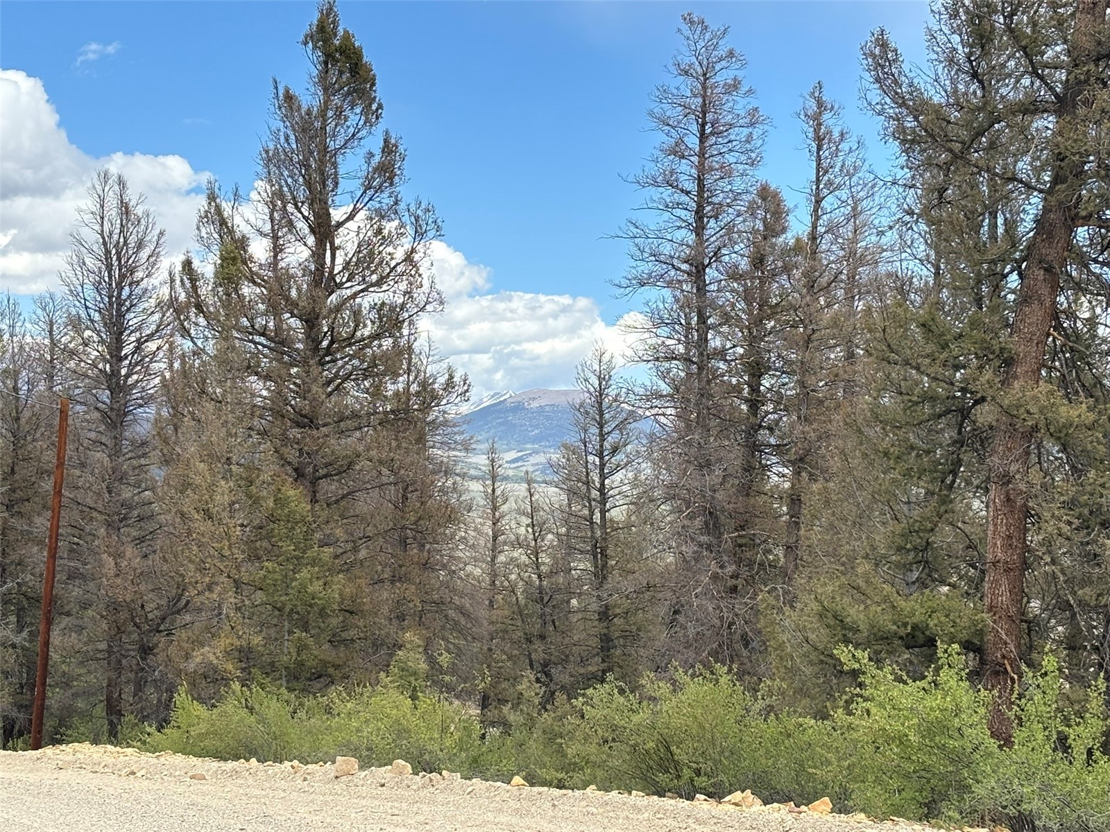 225 Trout Creek Lane Fairplay CO 80440