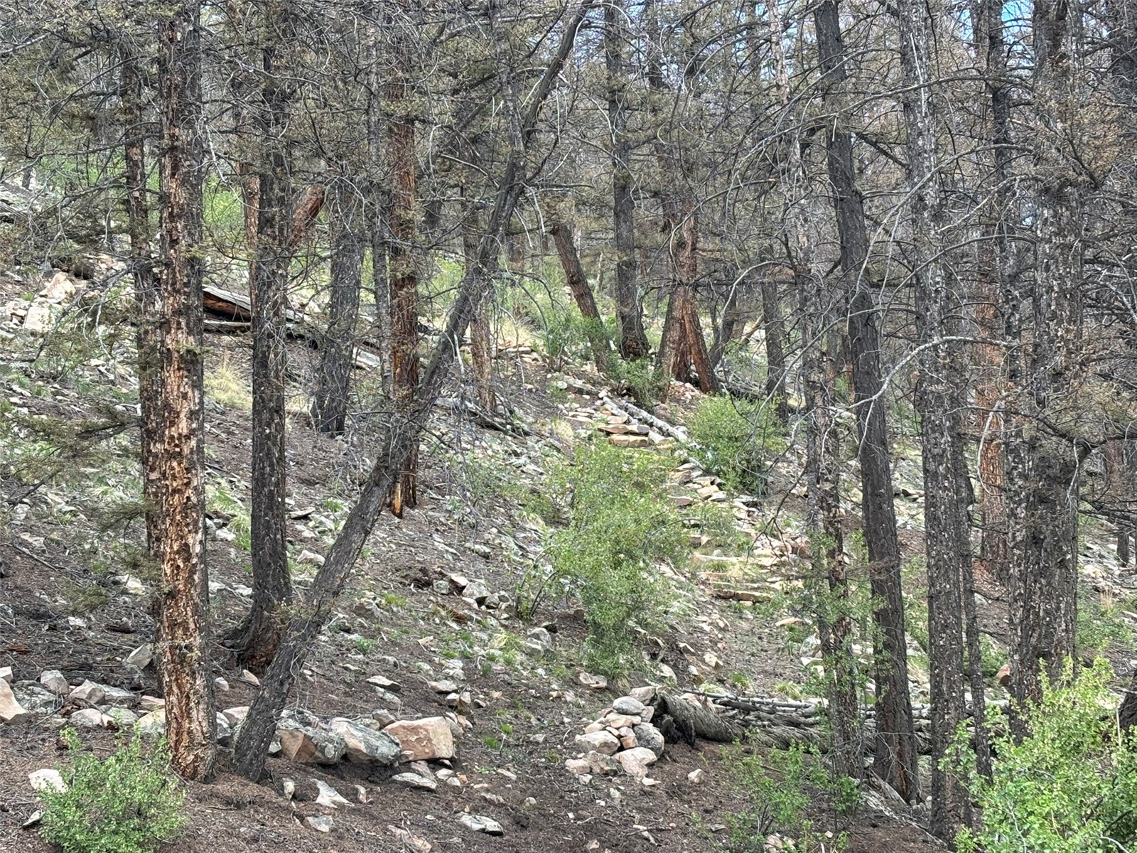 225 Trout Creek Lane Fairplay CO 80440