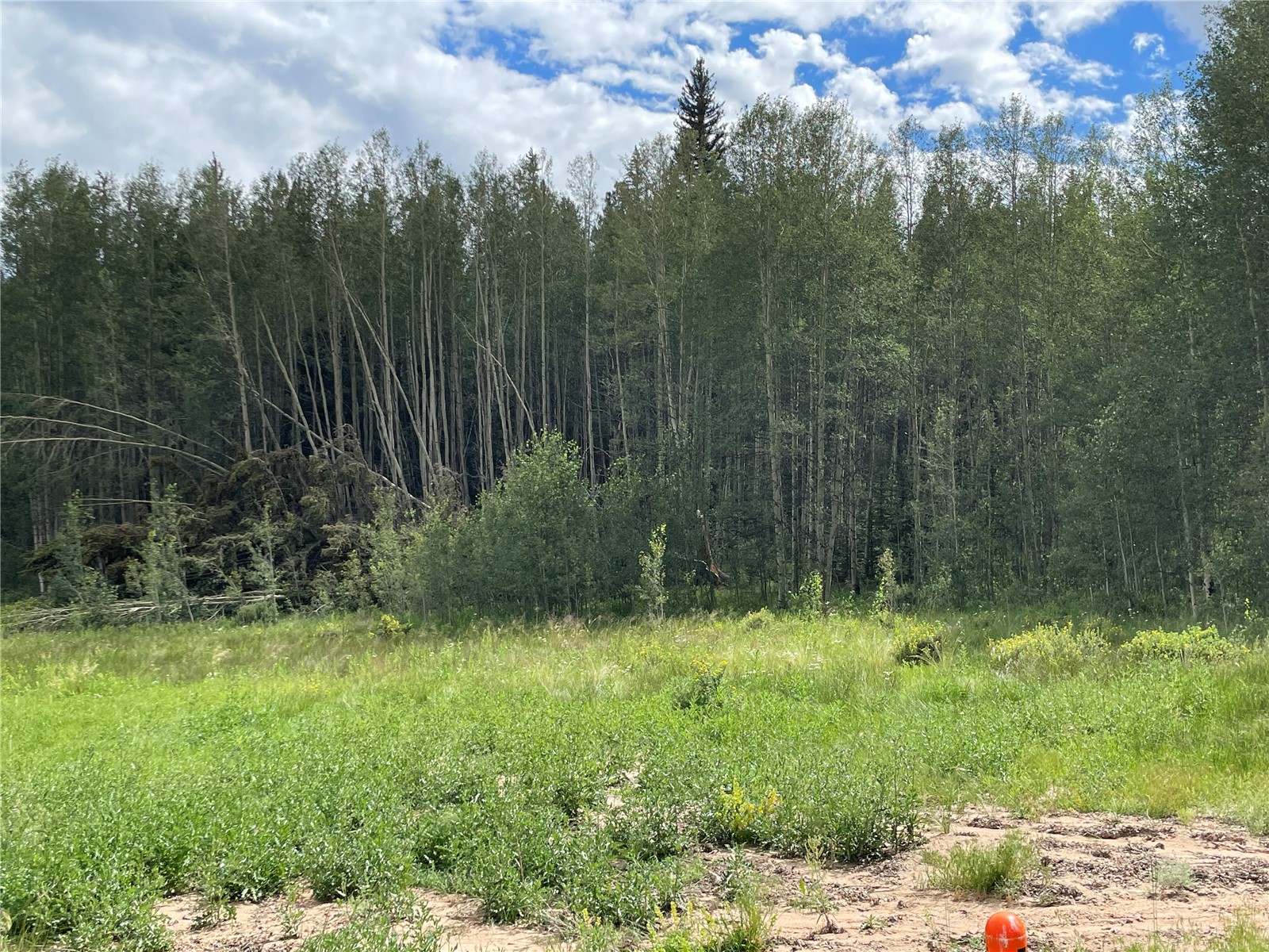 6325 Remington Road Como CO 80432