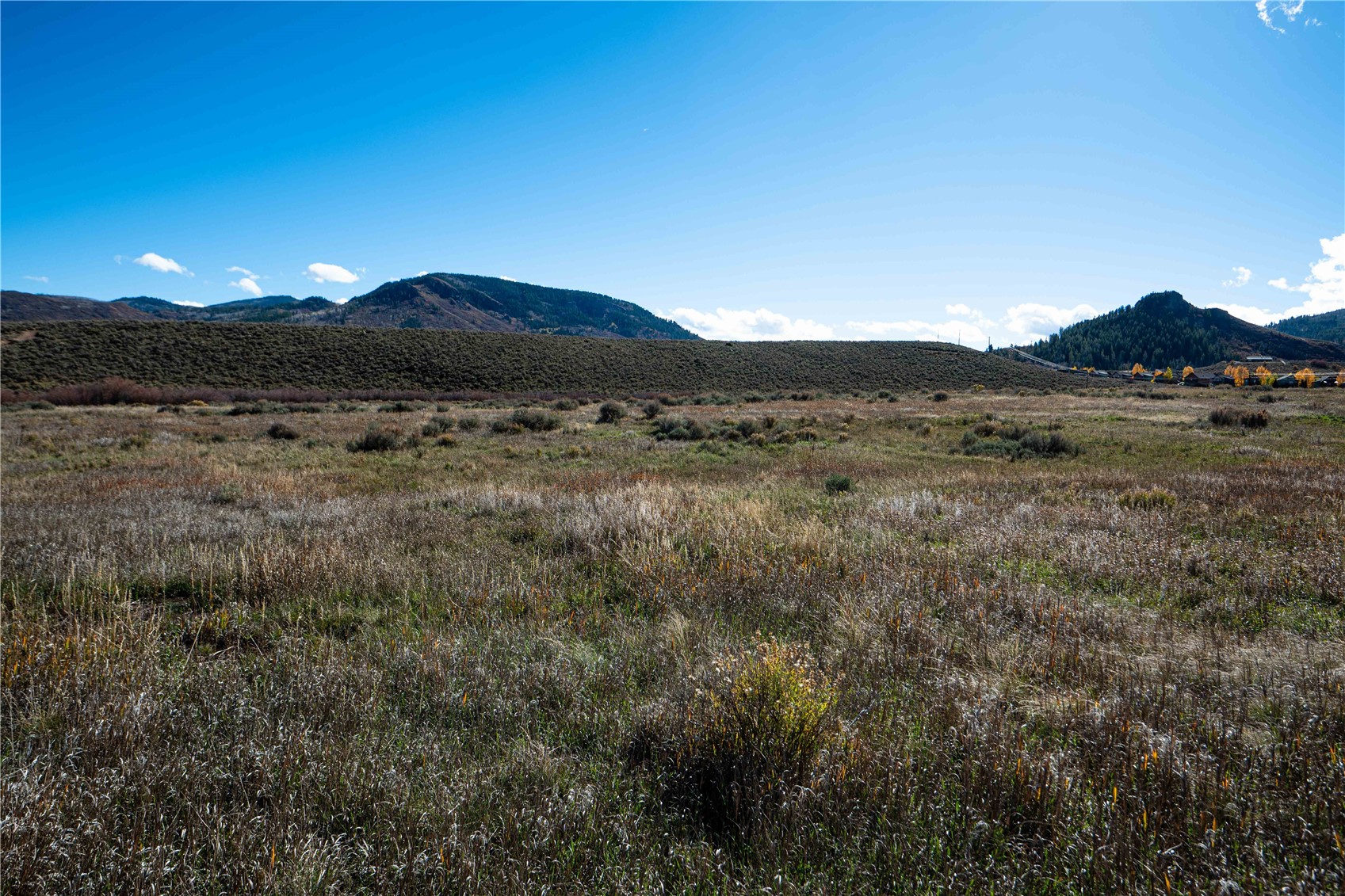 30050 Bannock Trail Steamboat Springs CO 80467
