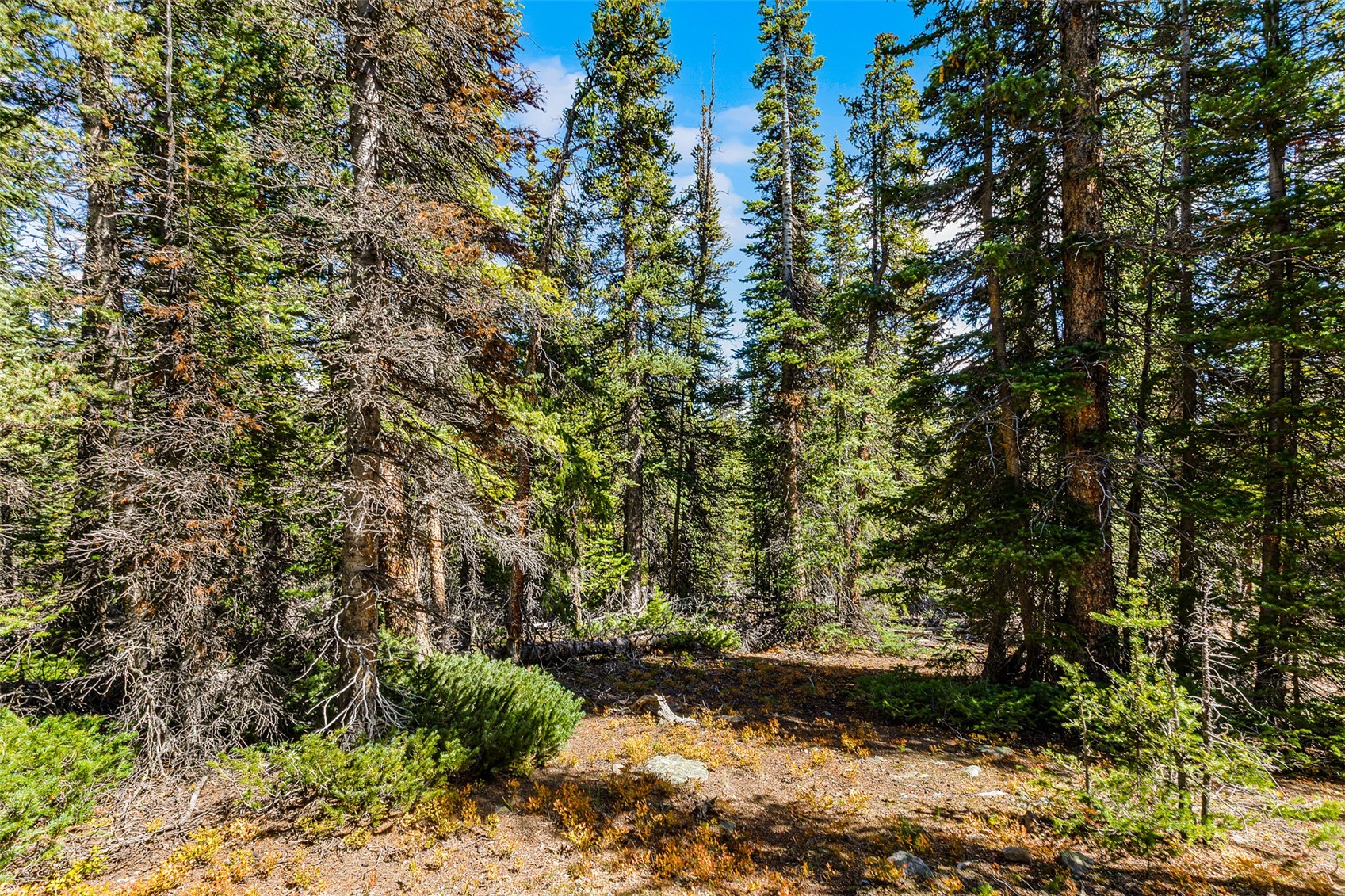 112 Sunshine Drive Fairplay CO 80440