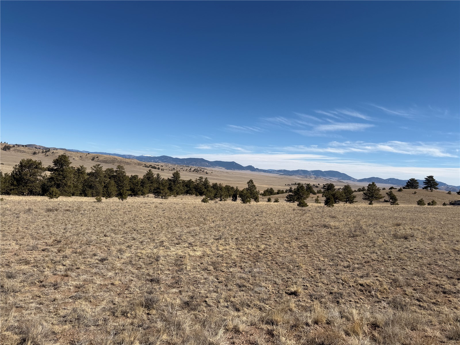 367 Arikara Trail Hartsel CO 80449