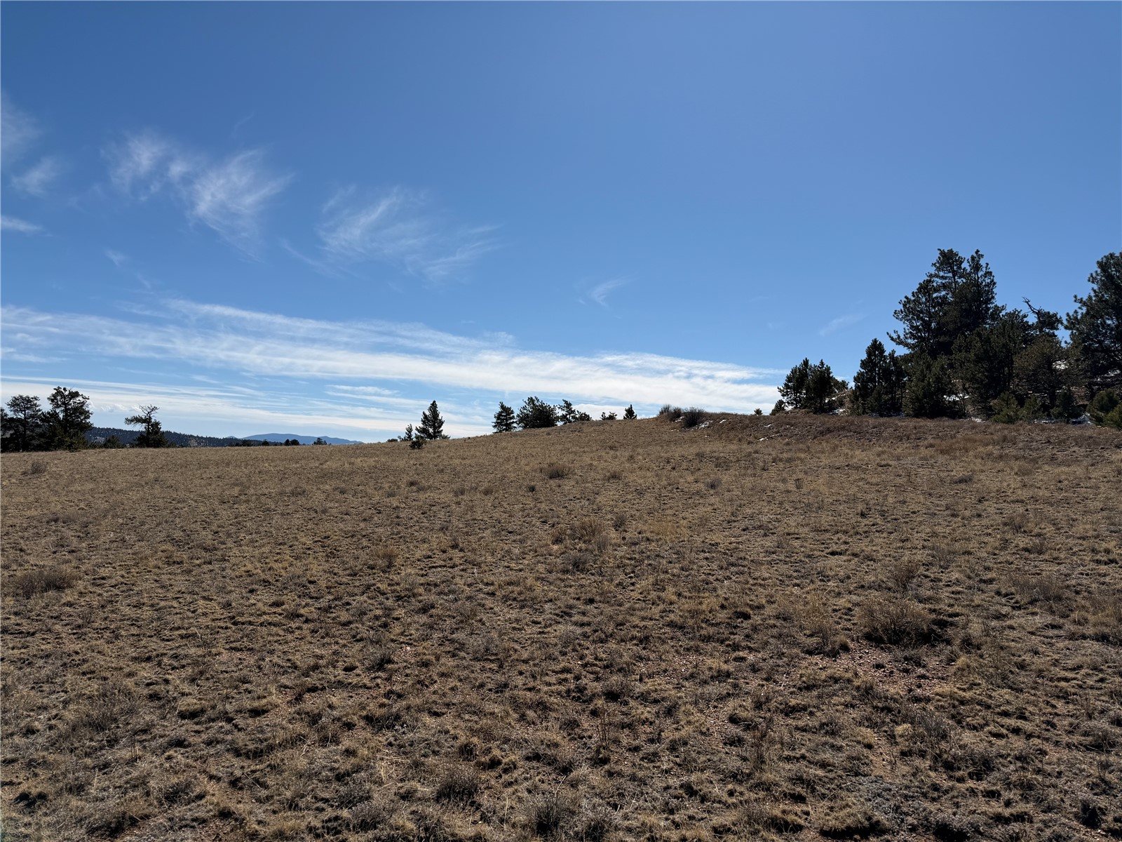 367 Arikara Trail Hartsel CO 80449