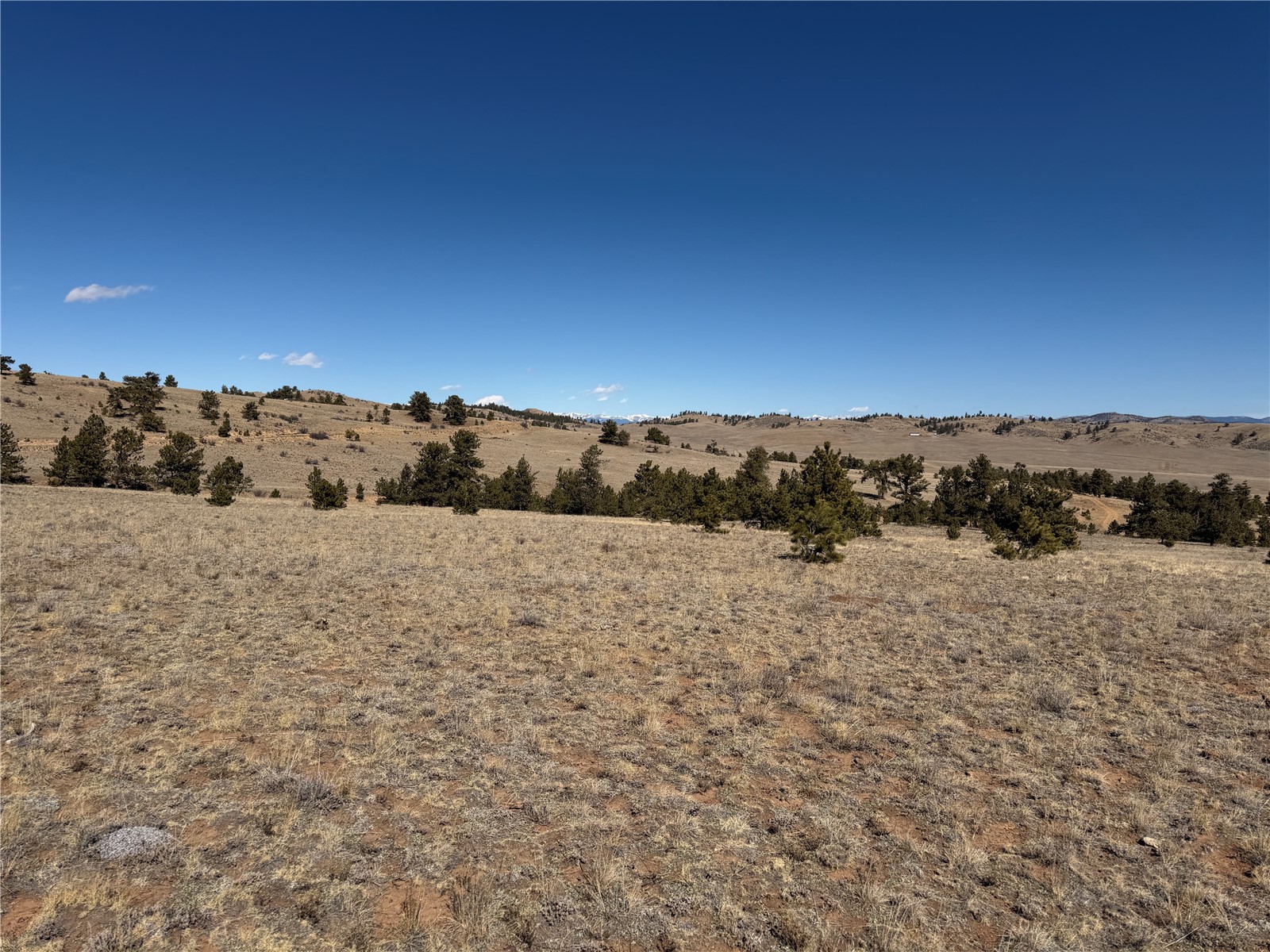 367 Arikara Trail Hartsel CO 80449