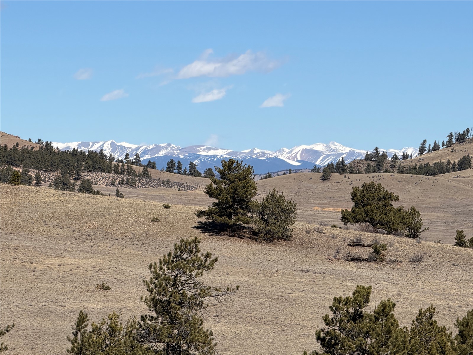 367 Arikara Trail Hartsel CO 80449